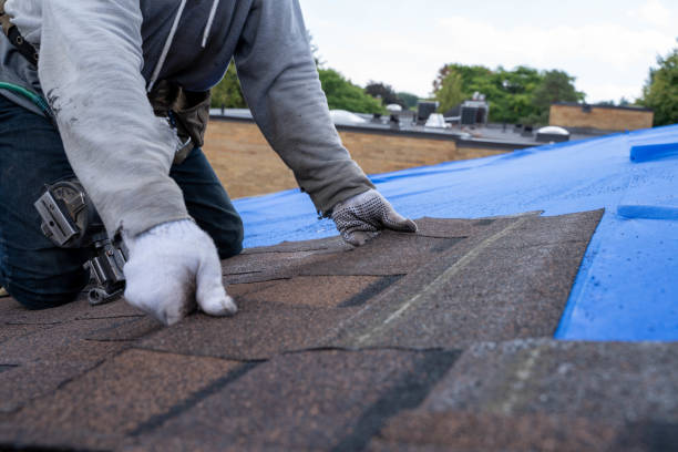 Best New Roof Installation  in Gun Barrel City, TX
